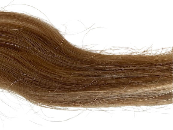 BALMAIN Extensions - Tape Extensions HH 40 cm