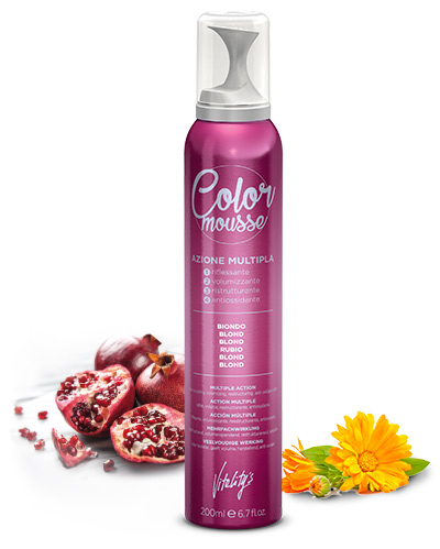 VITALITY'S Mousse Colorante 200 ml