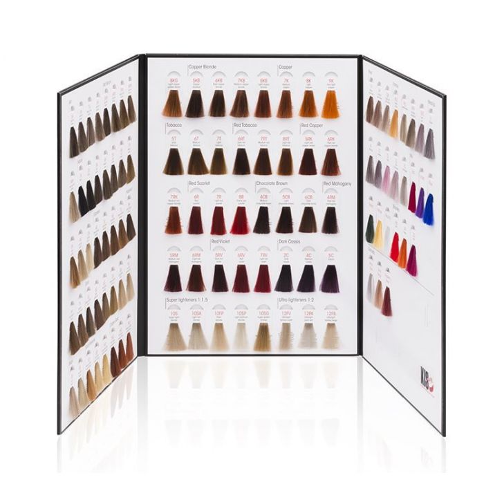AXENIA Kleurkaart - Coloranda Copper/Violet Kleuren 2020 (5)