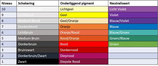 [2116675431] REF Info - Kleurenwiel Onderliggende pigmenten A6