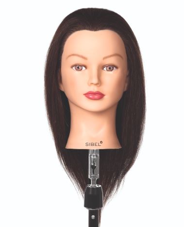 [2116653019] SIBEL Training Head - Aline Student 35-40cm 100% Human